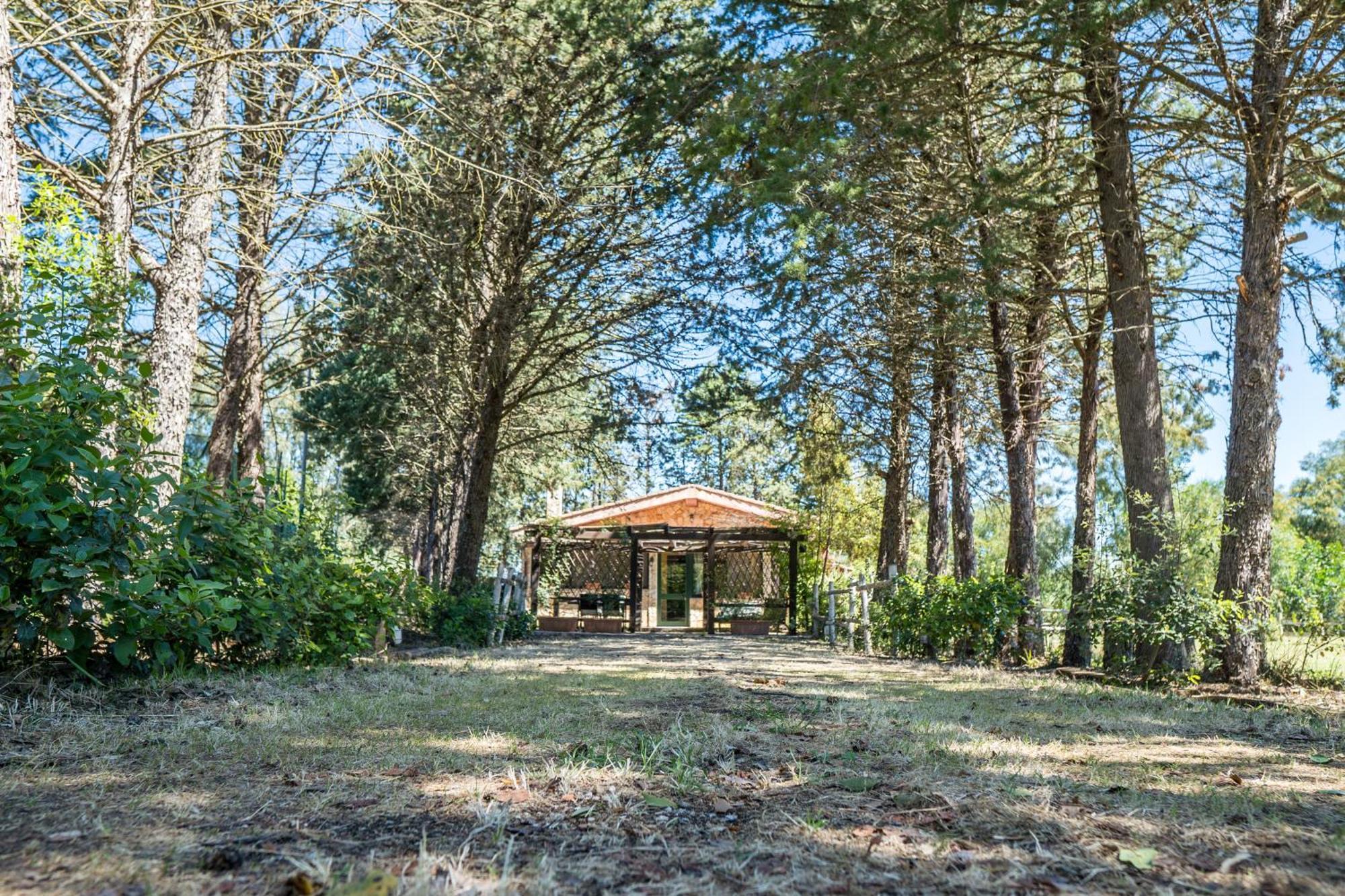 فيلا Fattoria Dei Piani Srl أولميدو المظهر الخارجي الصورة